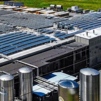 Darey Brands Sustainability Renewable Energy &amp; Reduced Emissions